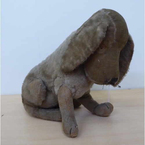 262 - An early Steiff 'Treff Dog' with ear button  13