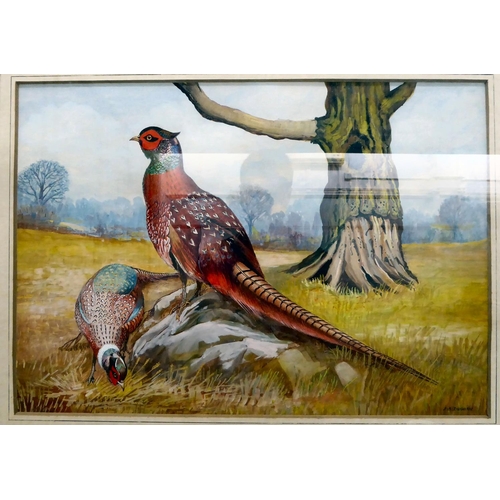 29 - JB Duggan - two pheasants in a field, beside a tree  watercolour  bears a signature  ... 