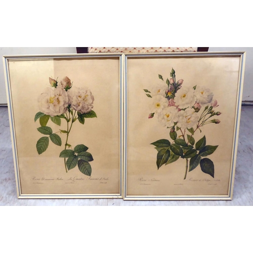 84 - Framed botanical and ornithological prints  largest 10