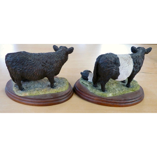 15 - Five Border Fine Arts composition agricultural themed models: to include 'Charolais Bull'  4.5