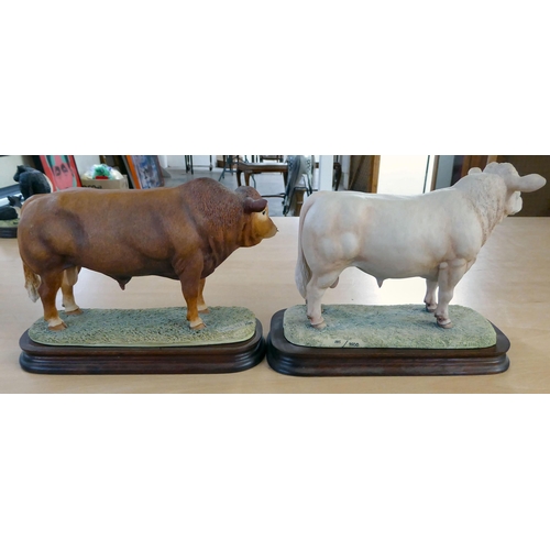 15 - Five Border Fine Arts composition agricultural themed models: to include 'Charolais Bull'  4.5