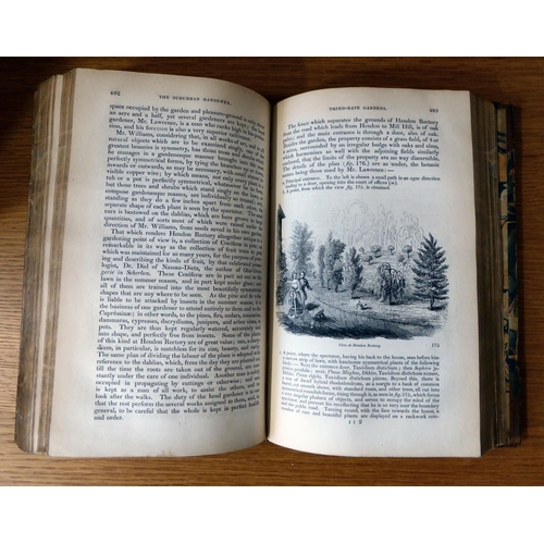 279 - Books: 'The Suburban Gardener' and 'Villa Companion' by JC Loudon, dated 1838, in one volume; and 'T... 