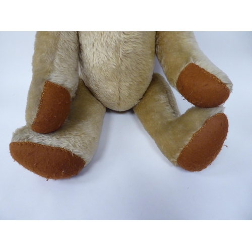 31 - A pale coloured mohair Teddy bear with a mobile head, limbs and a stitched nose  24