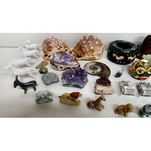 314 - A mixed lot: to include a nautilus shell  5