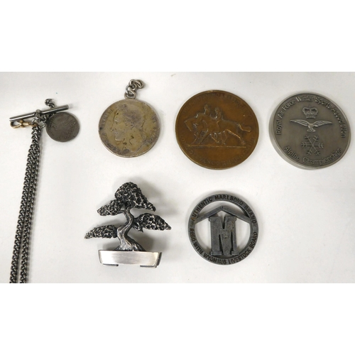 349 - Assorted medallions and badges: to include the Bristol Institute of Mechanical Engineers and The Roy... 