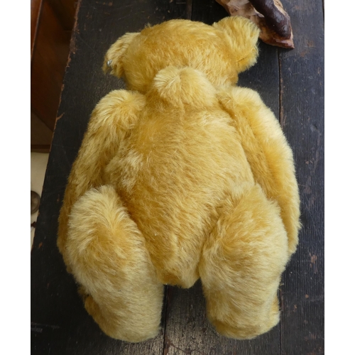 46 - A Steiff golden plush mohair covered Teddy bear with mobile limbs, stitched nose and a growler ... 