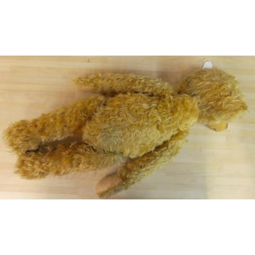 56 - A Steiff shaggy mohair covered Teddy bear with mobile limbs and a stitched nose  24