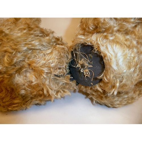 56 - A Steiff shaggy mohair covered Teddy bear with mobile limbs and a stitched nose  24