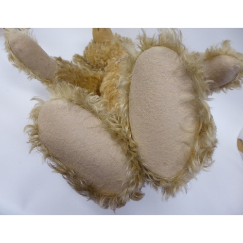 56 - A Steiff shaggy mohair covered Teddy bear with mobile limbs and a stitched nose  24