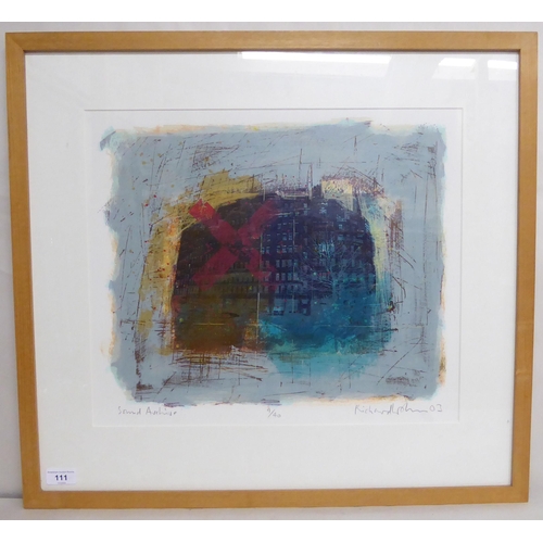 111 - After Richard Walker - 'Sand Archive'  Limited Edition 9/40 coloured print  bears a pencil... 