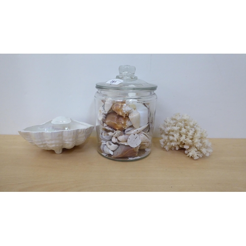 281 - A selection of shells and coral