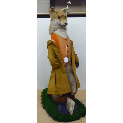 3 - Taxidermy: Beatrix Potter's 'Mr Tod' the fox  32