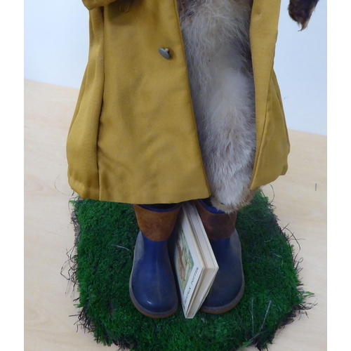 3 - Taxidermy: Beatrix Potter's 'Mr Tod' the fox  32