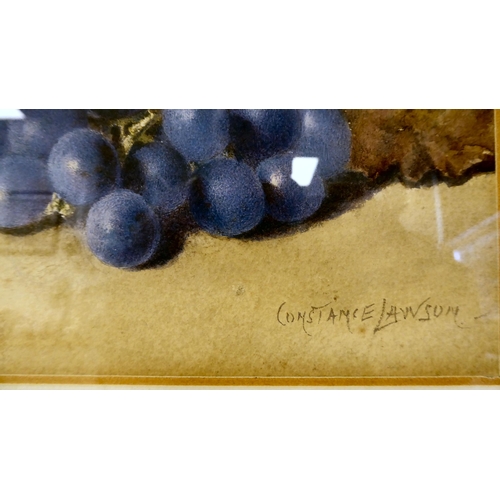 373 - Constance Lawson - 'Grapes and Leaves'  watercolour  bears a signature  7