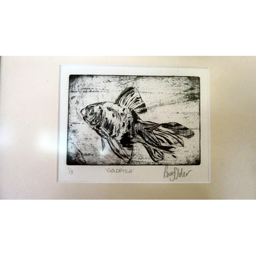 39 - Framed pictures: to include after Larry Alder - 'Goldfish'  Limited Edition 1/3 etching  4... 