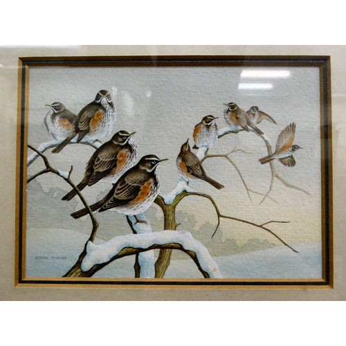 57 - David Mead - 'Dunlins' and 'Winter Roost'  pastel & watercolour respectively  bearing ... 