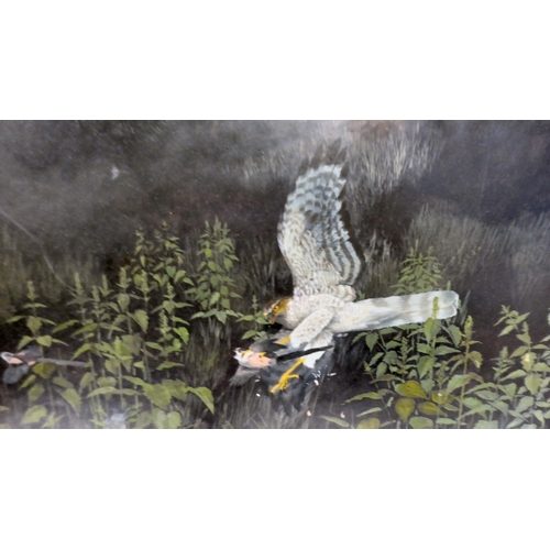 79 - Martin Knowelden - 'Dawn Swoop'  oil on board  bears a monogram & RASE 1987 label vers... 