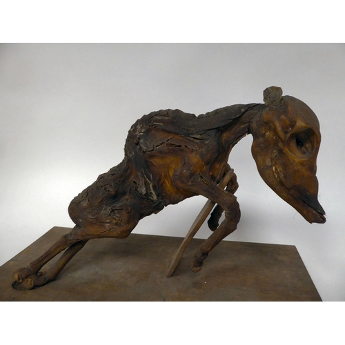 80 - An antique mummified horse foetus, mounted on a rectangular board  9.5