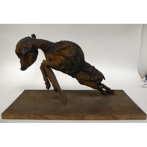 80 - An antique mummified horse foetus, mounted on a rectangular board  9.5