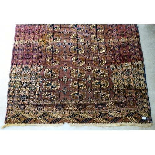 81 - A Turkoman rug, on a multi-coloured ground  56