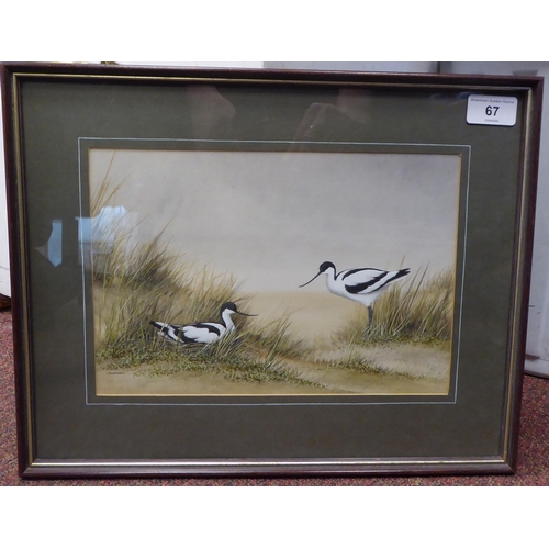67 - David Smithurst - 'Avocets'&nbsp; watercolour&nbsp; bears a signature & label verso&nbsp; 7.5