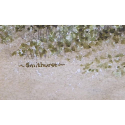 67 - David Smithurst - 'Avocets'&nbsp; watercolour&nbsp; bears a signature & label verso&nbsp; 7.5