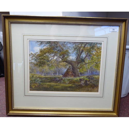 76 - James Baldock - 'Sherwood Forest'&nbsp; watercolour&nbsp; bears a signature&nbsp; 10