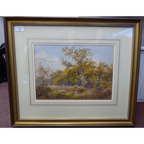 77 - James Baldock - 'Windsor Great Park'&nbsp; watercolour&nbsp; bears a signature & labels verso&nb... 