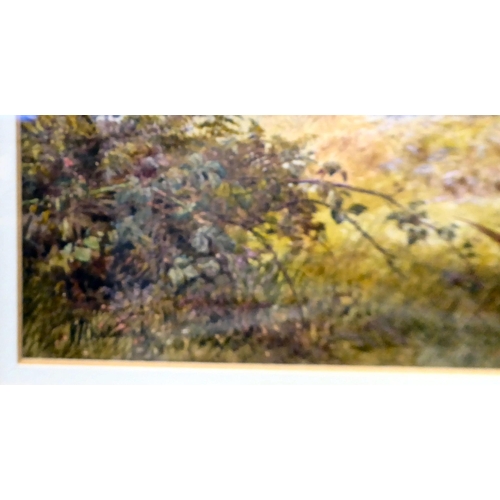 77 - James Baldock - 'Windsor Great Park'&nbsp; watercolour&nbsp; bears a signature & labels verso&nb... 