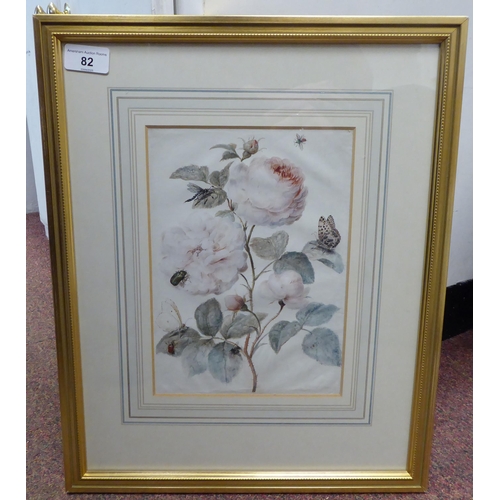 82 - A botanical study with insects on flowering roses  watercolour  10