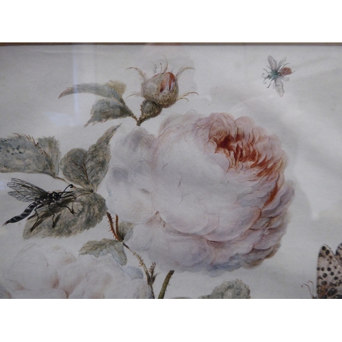 82 - A botanical study with insects on flowering roses  watercolour  10