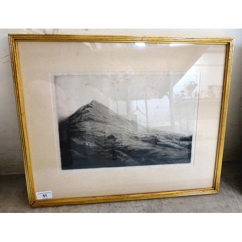 Lot 51        
