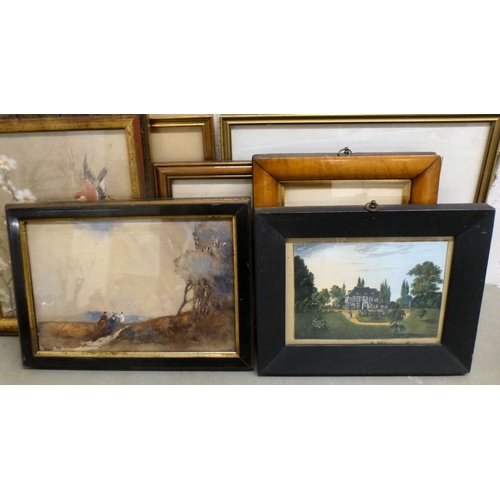 36 - Framed pictures and prints: to include ornithological studies&nbsp; 4