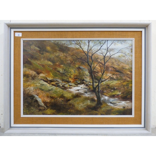 Lot 30        