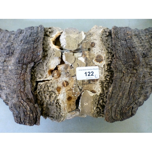 122 - Taxidermy, viz. a set of mounted water buffalo horns  28