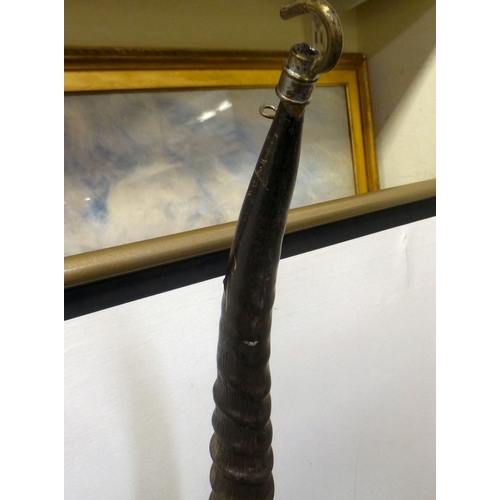 126 - Taxidermy, viz. a set of mounted antelope horns  35