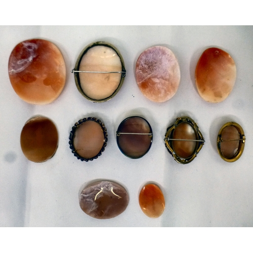167 - Shell and other carved cameos, some mounted&nbsp; various shapes and designs&nbsp;
