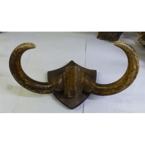 29 - Taxidermy: to include a reindeer antler  18