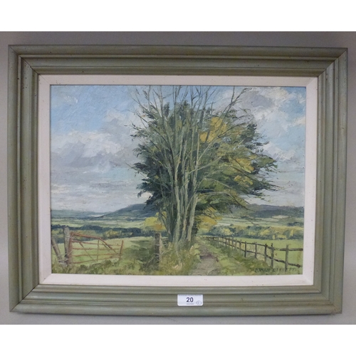 Lot 20        