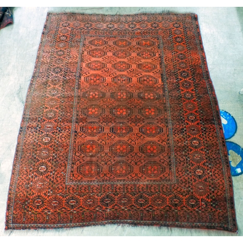 Lot 51        