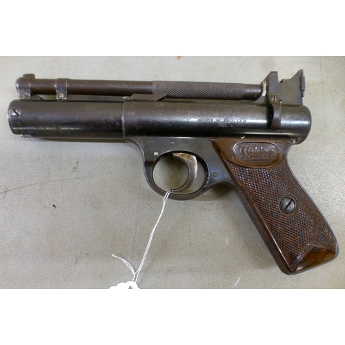 Lot 54        