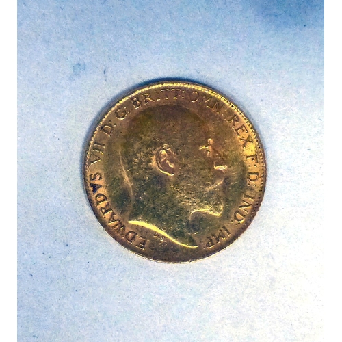 Lot 11        