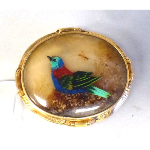 13 - A late 19thC French brooch with a mother-of-pearl tablet, decorated with bird feathers, in a yellow ... 