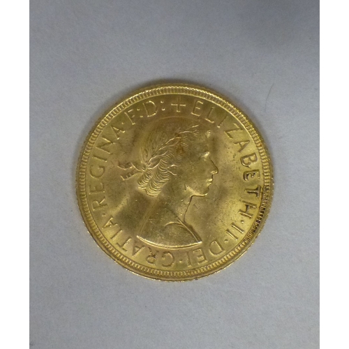 Lot 7         