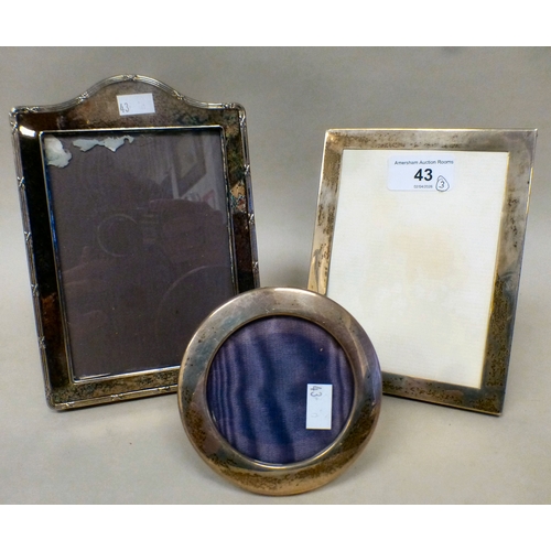 Lot 43        