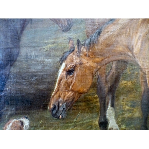 59 - Late 19thC British School - a study of three horses and a dog, in a field&nbsp; oil on canvas&nbsp; ... 