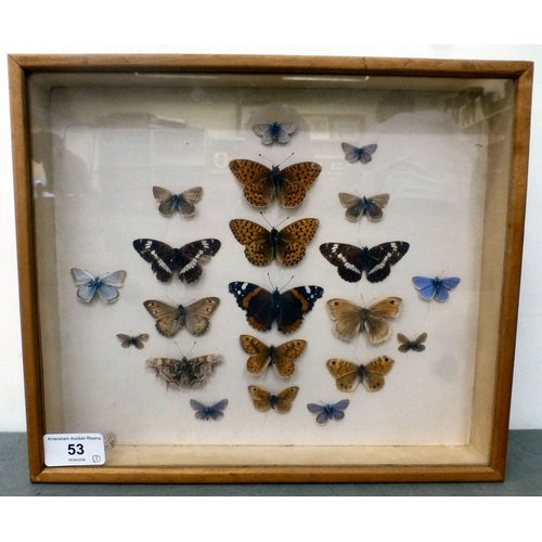 Lot 53        