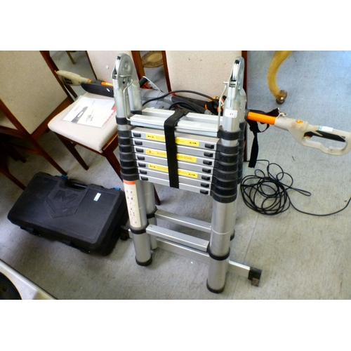 41 - Garden tools, viz. a Ryobi RPP720 electric pole saw; an Oregon CS-1500 electric chainsaw; a telescop... 