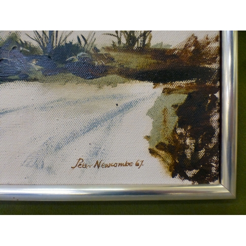 237 - Peter Newcombe - a winter landscape&nbsp; oil on canvas&nbsp; bears a signature & dated '67&nbsp... 