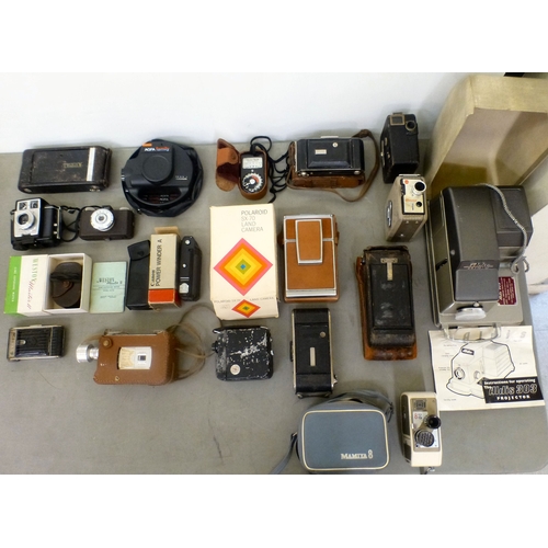 Lot 53        